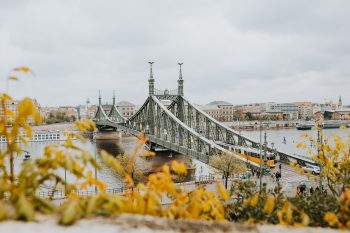 Budapest Liberty (Szabadság) Bridge in March Spring