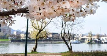 Visit Budapest in March