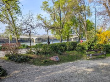 Budapest Margaret Island Danube View Spring