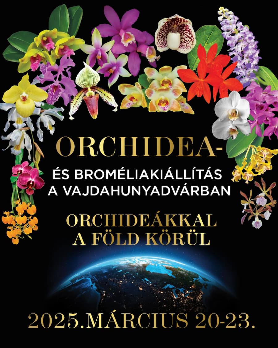 Orchidea Bromelia Exhibition at Vajdahunyad Castle