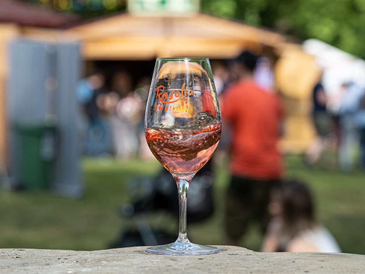 Rosalia Wine Picnic