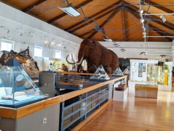 Budapest Hungarian Natural History Museum