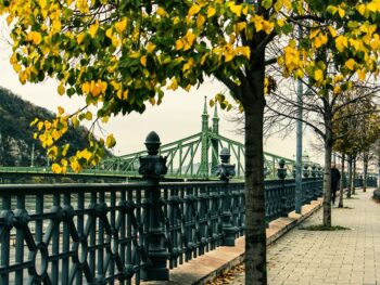 Top Things to Do in Budapest in October: Budapest Liberty (Szabadság) Bridge Walking Tour