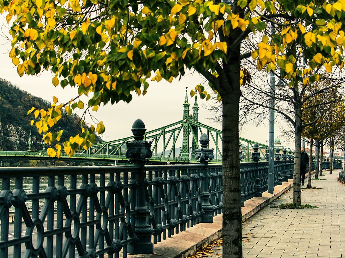 Budapest Liberty (Szabadság) Bridge in Autumn/Fall