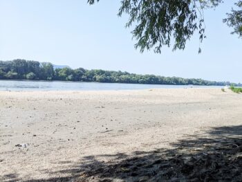 Danube Beaches Budapest in Summer
