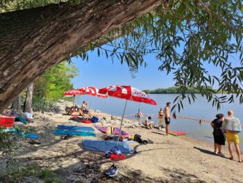 Danube River Beach Summer Árasztó Part
