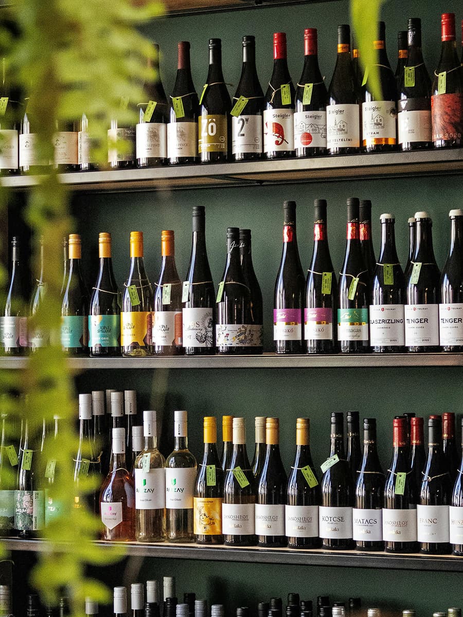 Hungarian Wines Shop Tasting
