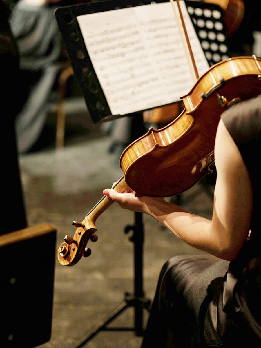 Budapest Festival Orchestra Concerts