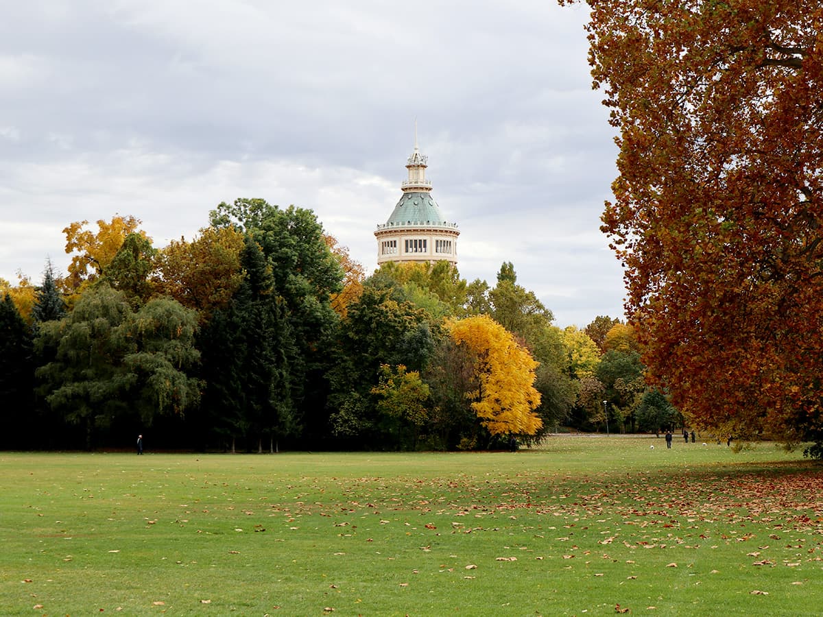 Budapest Margaret Island Autumn Fall