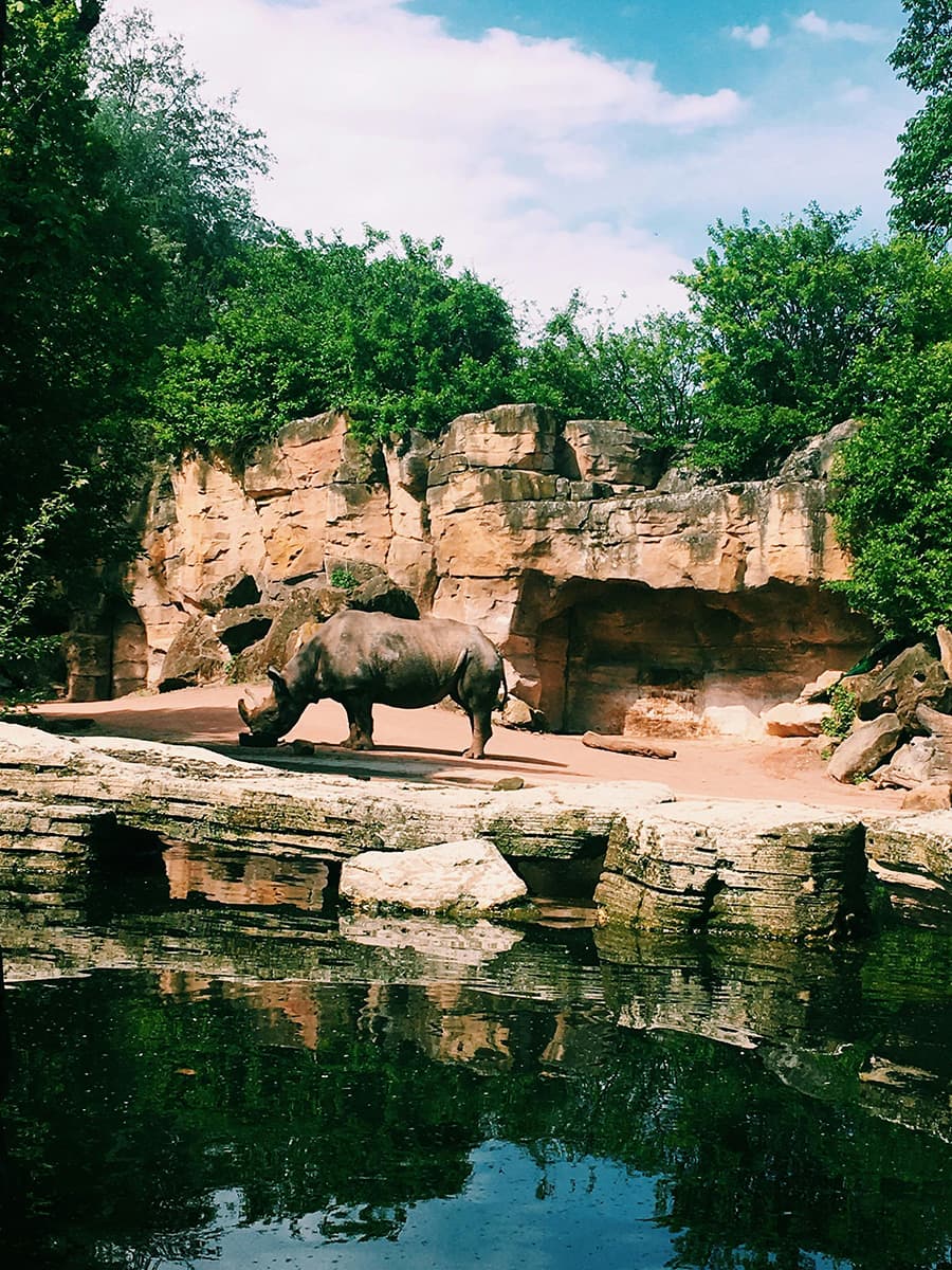 Budapest Zoo & Botanicals Garden