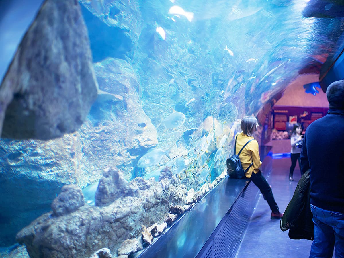 Tropicarium Aquarium Budapest