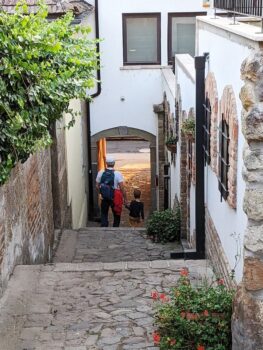 Vac Day Trip From Budapest