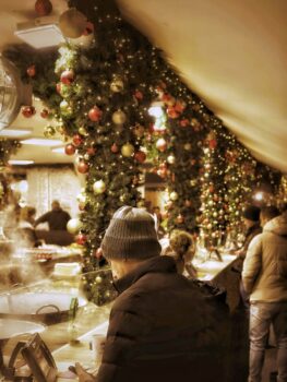 Budapest Christmas Market Lights and Stalls