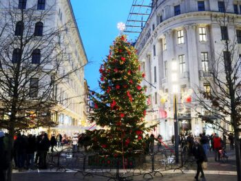 Budapest Christmas Tree in the Christmas Market in Vörösmarty Square