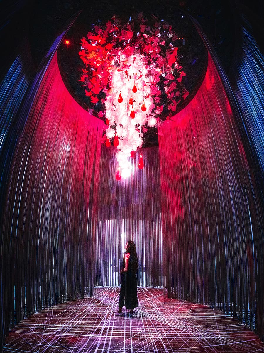 Budapest Cinema Mystika Light Exhibition