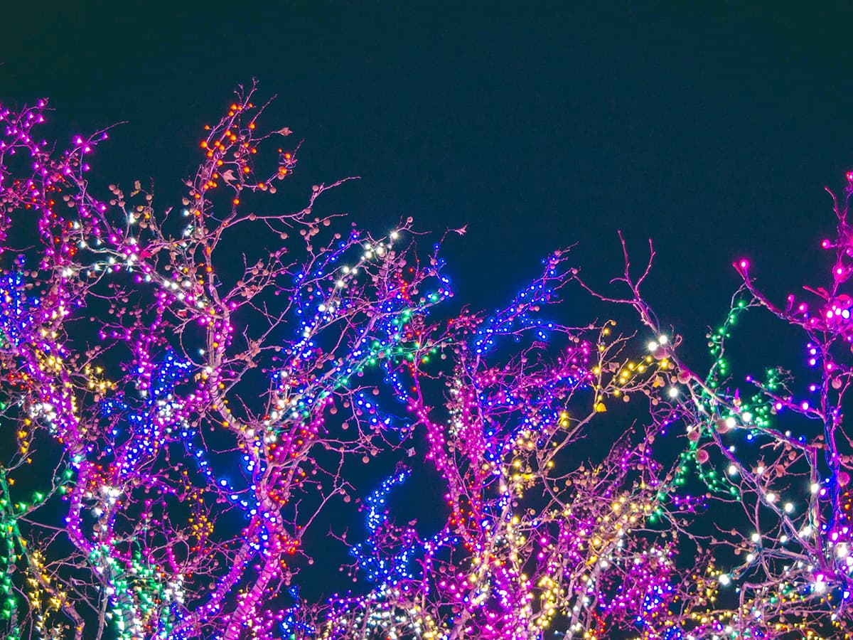 Budapest Lumina Park Light Show