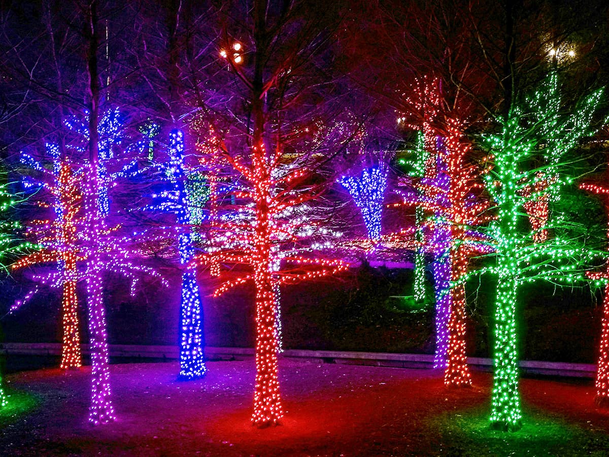 Budapest Lumina Park on Margaret Island