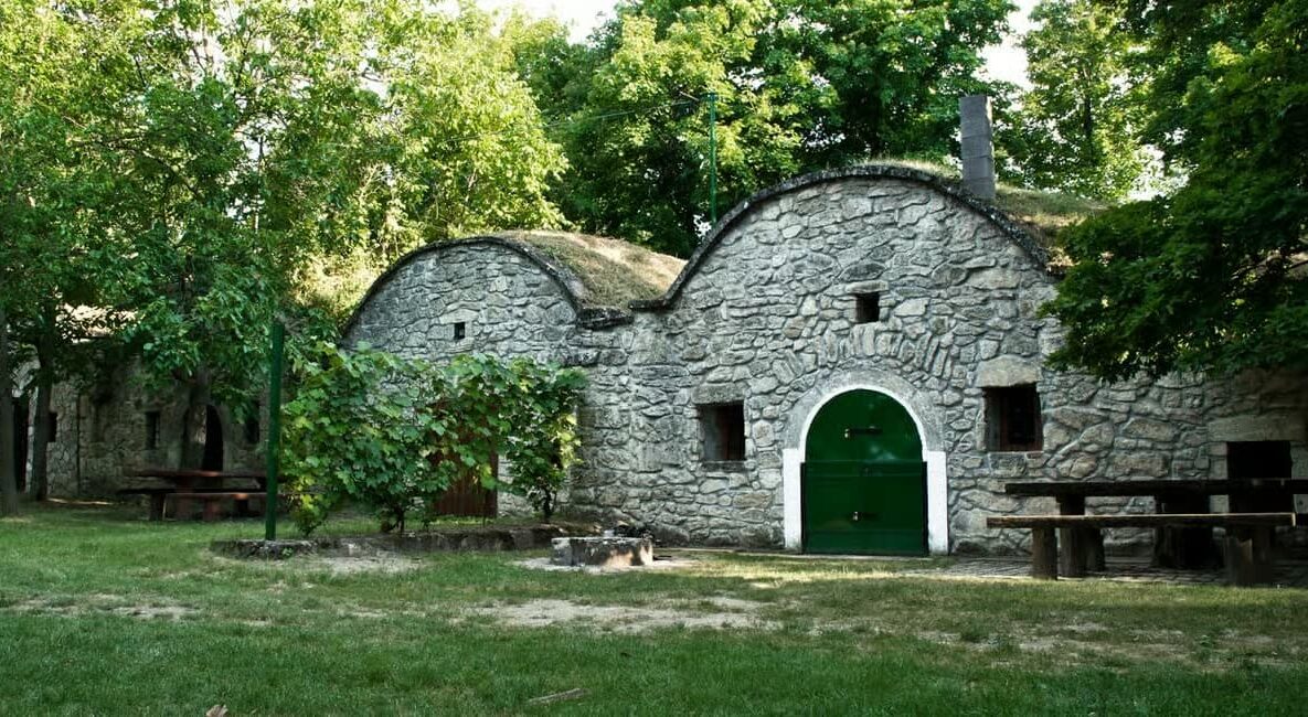 Hungary Paty Wine Cellars Tour