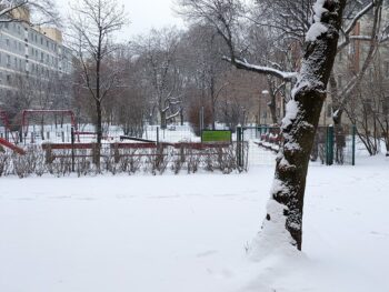 Budapest Parks Covered in Snow in 2026 January